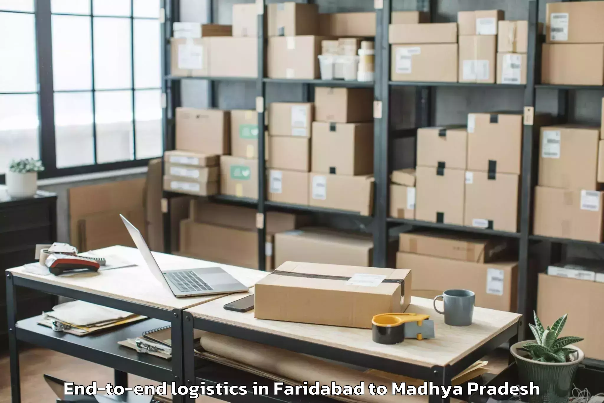 Book Your Faridabad to Harpalpur End To End Logistics Today